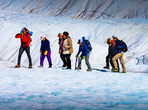 Kennicott Glacier Hike